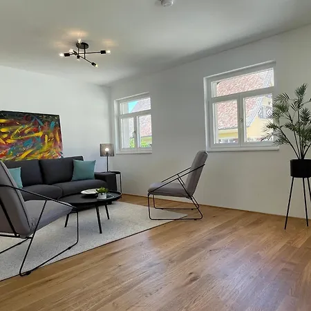 Vincent - Mit Parkplatz 布雷根茨